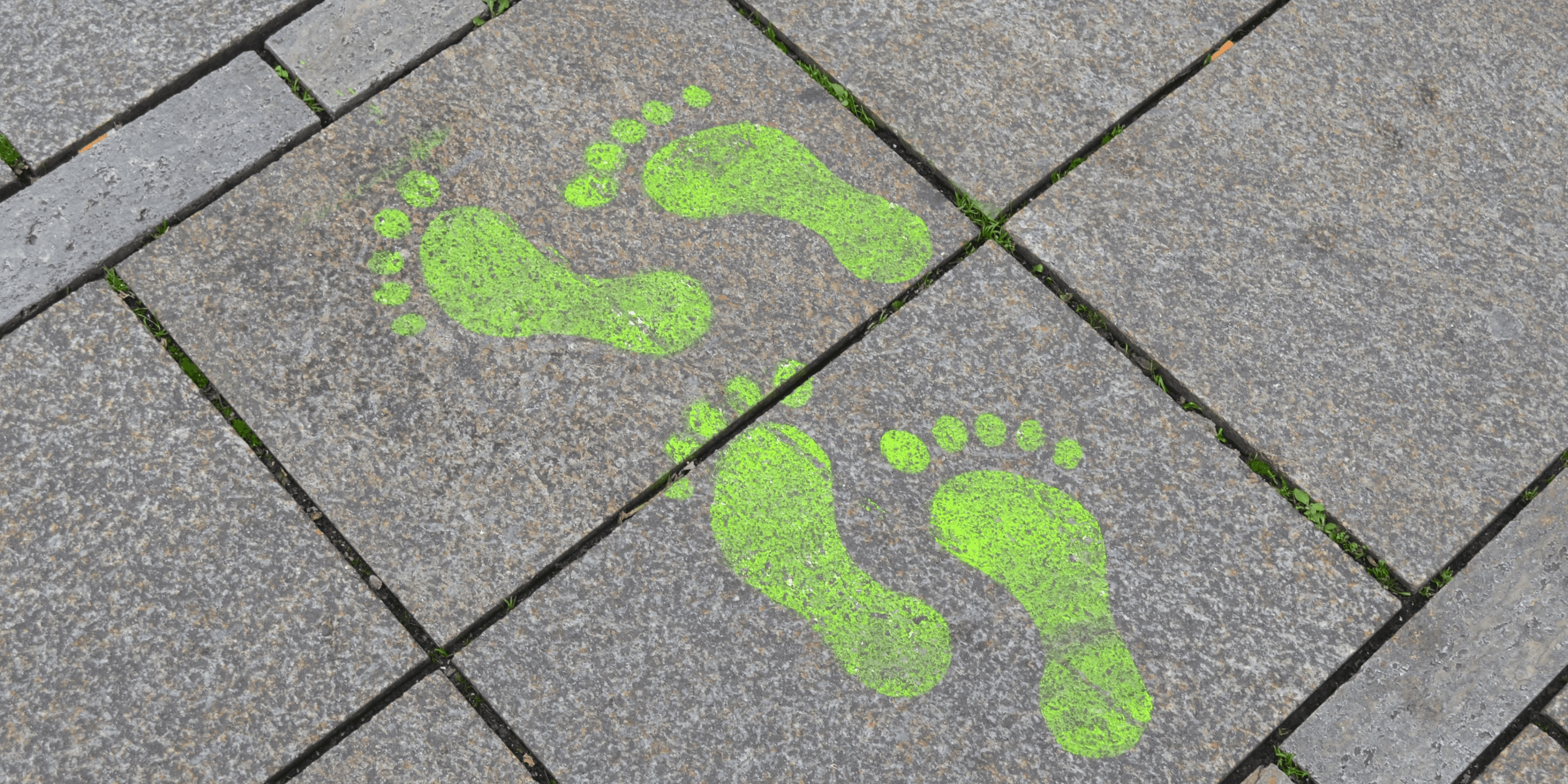 What's the Cheapest Way to Reduce My Carbon Footprint?
